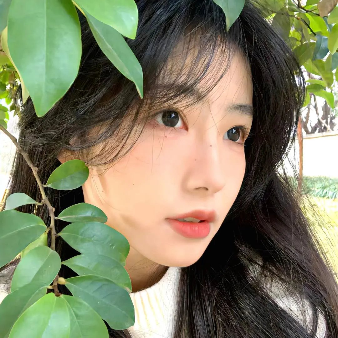 历劫蔷薇